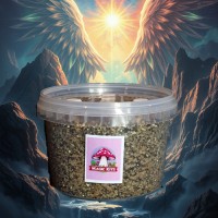 Medium mushroom grow kit